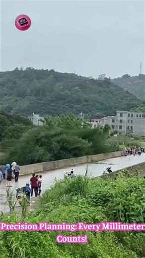 Tree Transport TITAN: Watch This GIANT Log SQUEEZE Under A Bridge In SECONDS! 🌳🌉🤯 #HeavyHaul