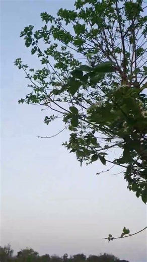 Happy Thai New Year! Stay cool, stay safe, and enjoy every splash.💦🎉❤️🌿