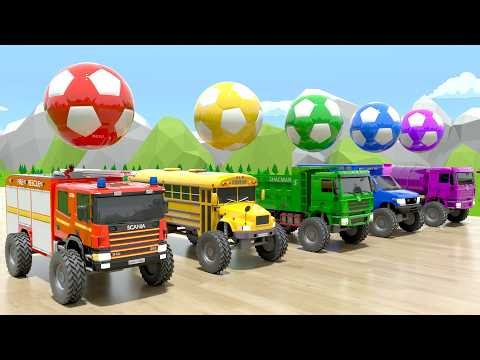 Bingo + Wheels On the Bus song - Wheels shaped like soccer balls - Baby Nursery Rhymes & Kids Songs