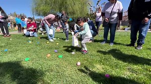 Spring is in the air, and Guide Dogs for the Blind was thrilled to welcome the LightHouse for the Blind - San Francisco Bay Area's Little Learners program to our California campus for its annual Spring Celebration. The children and their families spent the sunny day participating in beeping egg hunts, creating arts and crafts projects, and meeting lots and lots of GDB dogs and puppies, including guide dog puppies in training, Ambassador dogs, and K9 Buddies. Learn more at guidedogs.com/blog/beep