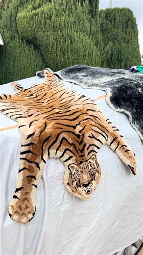Garage sale tiger rug for my kitty 🐈‍⬛