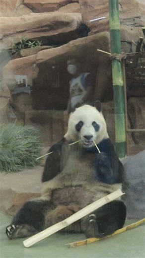 23K views · 12 reactions | ️ Bayangin… 1 tiket aja bisa kasih kamu...