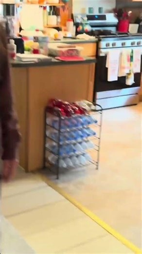 Thought it was a real mouse.