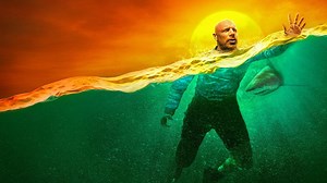 How to Survive a Shark Attack