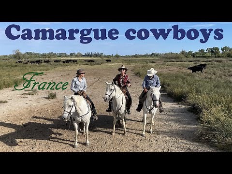 The Camargue - an amazing natural area on France's Mediterranean coast.