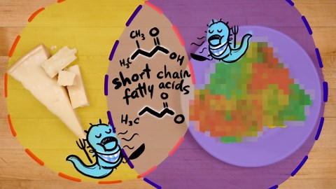 Why I confused parmesan and puke (and you might too)