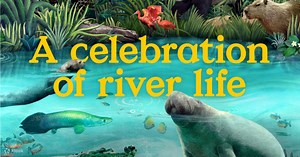 River Wonders Ticket | Mandai Wildlife Reserve, Singapore - Klook Australia