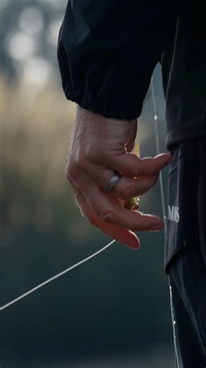 The Definition of Versatility: The Clouser Minnow. If there is one pattern that belongs in every angler's box, regardless of destination, it is the Clouser Minnow. Considered one of the most versatile flies ever tied, its application ranges seamlessly from freshwater bass to saltwater species. The key lies in the dumbbell eyes. This design element serves two functions: inversion of the hook point for snag resistance and, more importantly, the creation of a distinct jigging action. This vertical 