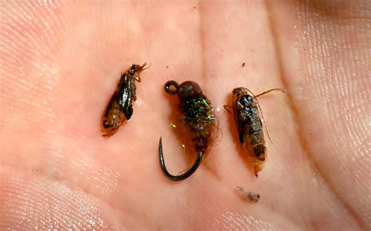 Nymphing a Caddis Hatch | MidCurrent