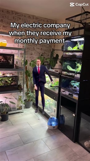 Owning exotic animals = high electric bills 😪 #exoticpets #bioactiveenclosure