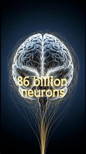 Brain vs Supercomputer | Mind-Blowing Science 🤯#dancetiktok