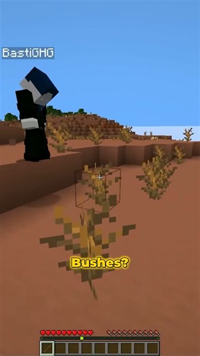 Minecraft: Explaining Dead Bush and Amadillo