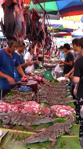 Inside Asia’s Wild Animal Markets #shorts