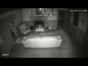 The Real Conjuring House Ghost Sighting Clips + Trailer(May 2020)