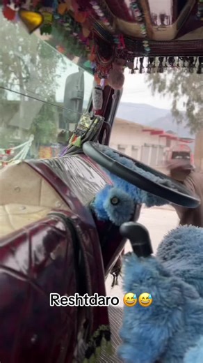 @Baaghi177🥷🦅 @kohistani Boy💫 @Tallinn🐈‍⬛🖤 @Talal Ali khan