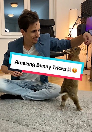 Teach Your Bunny Amazing Tricks Easily