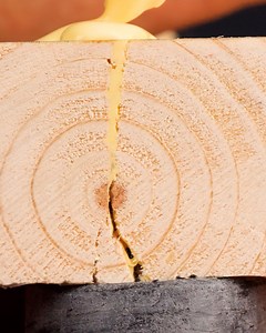 1.2M views · 2K reactions | Dealing with Wood Gaps! | Science, Tech and Universe | Facebook