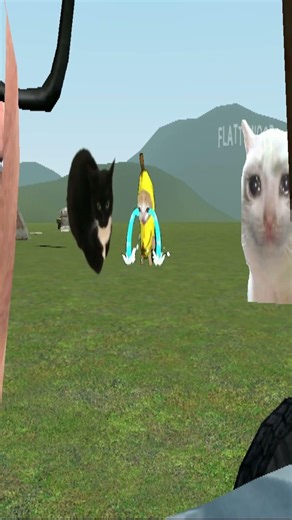 un dia en Garry's Mod !😅😂 #shorts