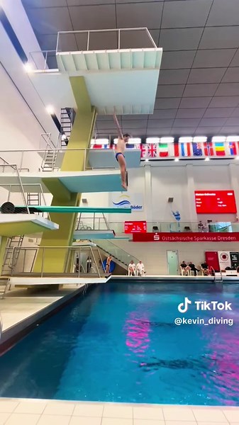 Dresden 2025: Springboard Diving Event Highlights