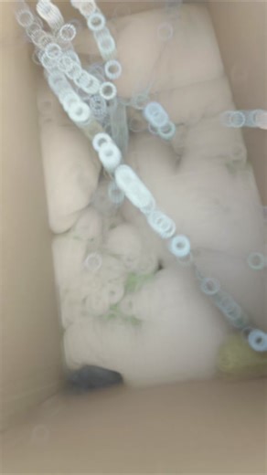 Eloy Gutierrez on TikTok