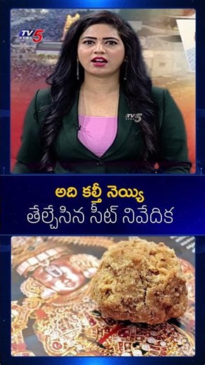 #tirumala Laddu Ghee Adulteration: SIT Report Reveals Truth | #ttd Big Update #tv5news