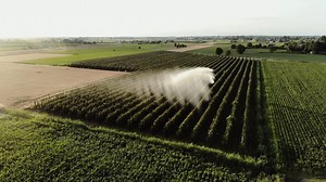 Farm, Field, Agriculture. Free Stock Video