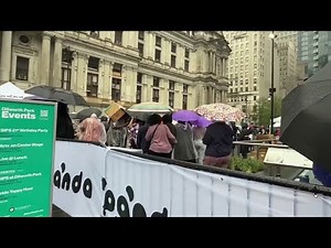 Thousands expected at City Hall's Panda Fest