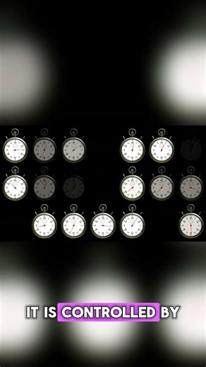 Reproduction (Continuation of Life)