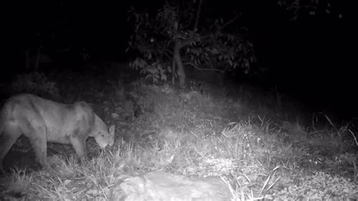 Frecker Farms on Instagram: "Well, it rained over 7 inches during the last 48hrs here at the farm. Thankfully there haven’t been any serious consequences; although it’s been a change of pace to say the least… some of it welcomed, some of it not; no say in any of it. We decided at the last minute to stay home from our Saturday markets. It’s never a good feeling to miss the market when they remain ‘open’ but it felt right for our team considering the weather forecast this weekend. Personally it’s 