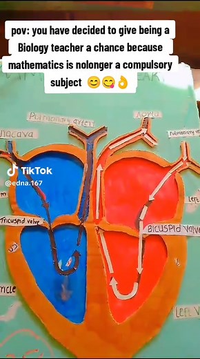 Exploring Biology: A New Teacher's Perspective