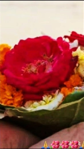 #🙏🌿श्राद्ध में क्या पंचबलि कर्म का महत्व जाने 🌿🌺