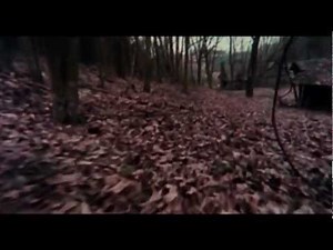 The Evil Dead (1981) Fan Made Trailer HD