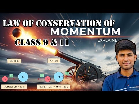 The Law of Conservation of Momentum Explained