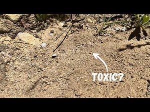 Regenerative Aluminium Management