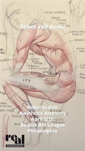 Realist Art League on Instagram: "There's still spots available for the first in a series of anatomy lessons from @ostiroberto . Join us this Saturday @realistartleague, work from a live model, and learn from incredible anatomist and artist Roberto Osti. Affordable anatomy workshop in Philadelphia! DM or check the link in bio for registration"
