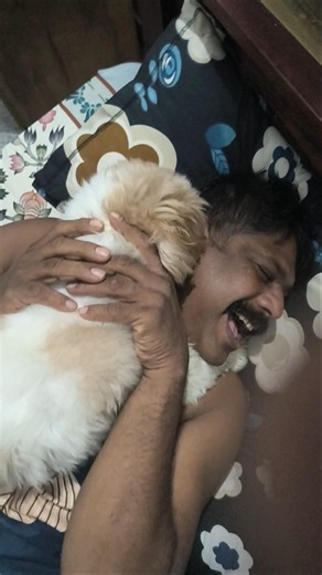 ഒറക്കത്തിനു മുന്നേ ഇതൊക്കെ നിർബന്ധം#viral #pets #milkey #puppy #trending #cute #love #family #latest