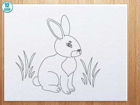 How to draw bunny