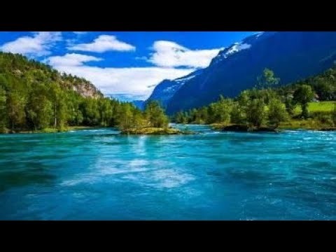 Divya Parlour & Boutique is live