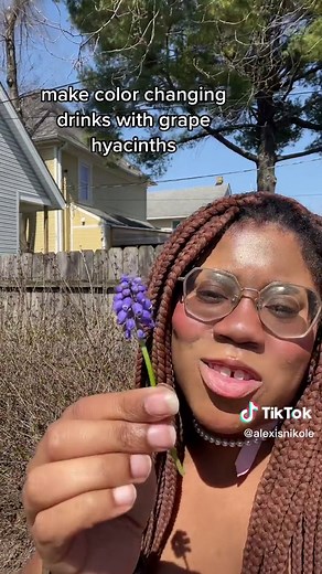 Hyacinth vs Muscari: What's the Difference?