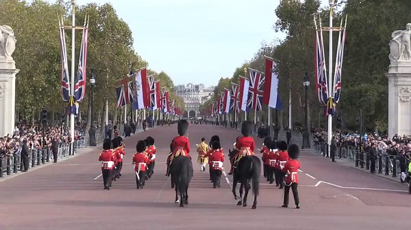 Coldstream Guards welcome Dutch royal family on state visit to UK