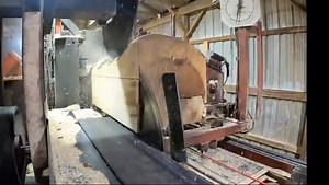 8.6K views · 97 reactions | Saw-Milling Large Poplar ASMR! Plus in Cab Sawing and a 30 Inch Log? | Beaver Exterminator | Facebook