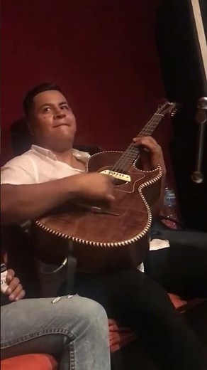 The Flight of The Bumblebee hipolito