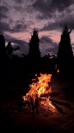 Cozy Campfire 🔥 Relaxing Fireplace 🔥 Burning Fireplace & Crackling Fire Sounds 🔥 Camping Ambience
