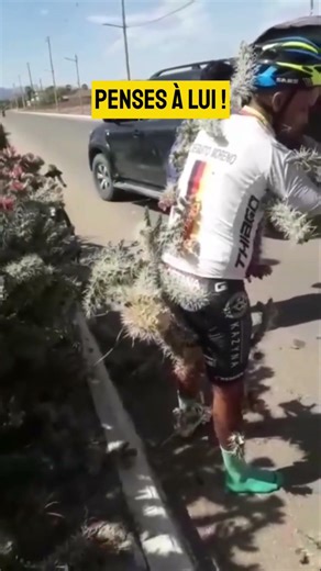 Journée de 💩 #cyclovoyageavecgaetan #cactus #fail #failsvideo