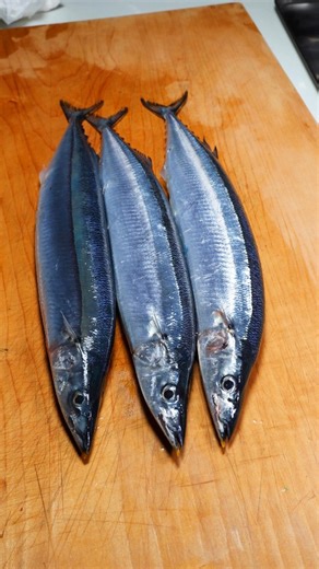 セイゴ水産（Seigo Sashimi creator） on Instagram: "究極の骨無し秋刀魚の塩焼きを作ったら美味すぎた 前回のコメント「骨の周りが美味い」「骨が美味い」を全て取り入れてみました！ レシピ ・ウロコをとって頭を落とす ・背開きで開く ・内臓を取り出し、内臓脂肪をとっておく ・腹骨周りの脂と背骨周りの身をこそぎとっておく ・腹骨を丁寧にすきとっておく ・骨が気になる方は中骨を抜く ・ヒレなど堅い部分を抜く ・腹に内臓脂肪を戻し腹骨周りの脂は身に塗る ・背骨周りの身も腹におき串を打つ ・塩をふって10分ほどおいておく ・背骨の上にすいた腹骨をおき片栗粉をまぶす ・背骨を160℃の脂に入れ、両面泡が少なくなるまで揚げる ・グリルに塩をふった秋刀魚を入れ6分焼き、返して5分焼く ・皿に盛りつけお好みで大根おろしを添え完成 捨てる部分がほとんどない最高の一品の完成"