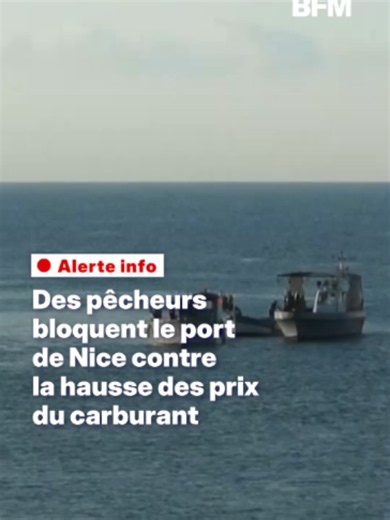 Au troisième jour de leur mobilisation, les pêcheurs organisent ce jeudi 17 septembre de nouveaux blocages de ports en Méditerranée. À Nice, une quinzaine de pêcheurs bloquent le port, à terre et en mer avec leurs bateaux, alors que d'autres continuent comme à Frontignan (Hérault). #nice #peche #carburant #essence #politique
