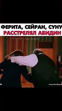 Зимородок -91 серия