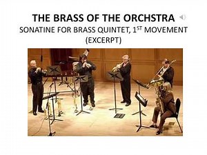 Instruments of the Symphonic Orchestra Part one