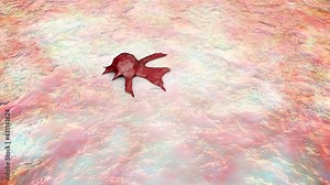 Cancer growth, 3D animation showing tumor growth and spread into surrounding tissues