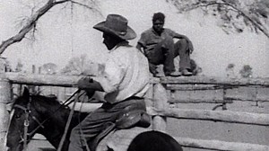 Breaking horse video